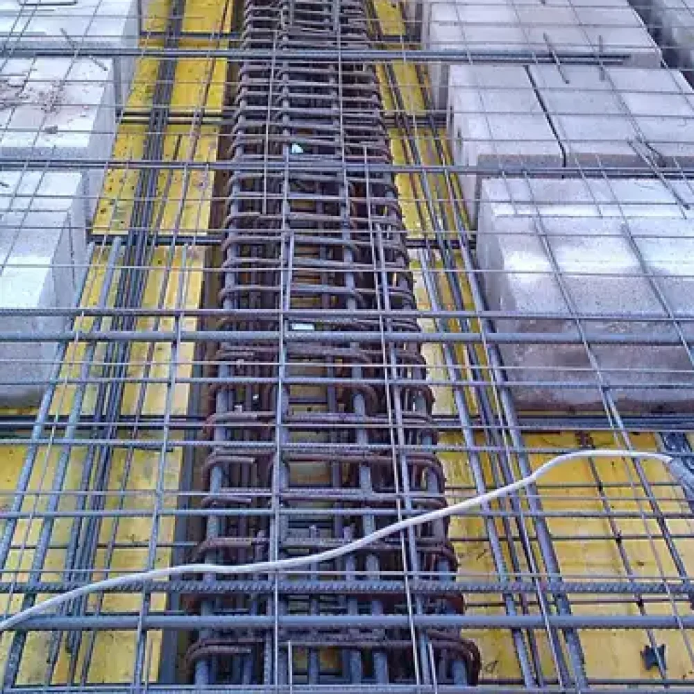 servicios para profesionales 2 trabajo de cálculo y definición estructural